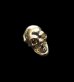 画像1: 18k Gold Twelve Small Skull Pierce (Screw type) (1)