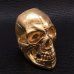 画像3: 10K Gold Old Skull Full Face Ring( Pure Gold Color Finish)