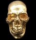 画像1: 10K Gold Old Skull Full Face Ring( Pure Gold Color Finish) (1)
