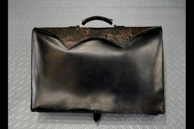 画像3: Gaboratory Brife Case