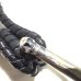 画像8: [新入荷★現品限り即納]  Shark Leather Wide Belt Loop  