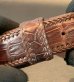 画像6: Crocodile Horn Back Leather Belt (Brown)