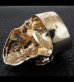 画像12: 10k Gold Large Skull Ring with Jaw