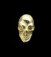 画像1: Gold Twelve Small Skull Pierce (1)