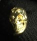 画像16: 18k Gold Twelve Small Skull Pierce