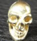 画像3: Gold Twelve Small Skull Pierce