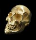 画像1: 10k Gold Half Large Skull Ring (1)