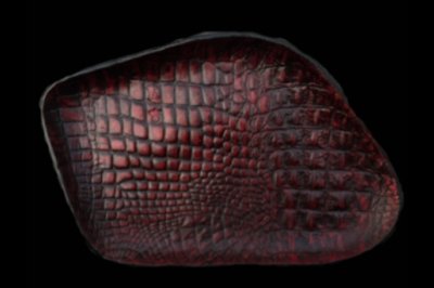 画像1: Gaboratory Alligator Textured Leather Gun Tray  [Red]