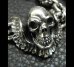 画像3: C-ring With Skull Wing & Quarter Skulls Half Small Oval Links Necklace