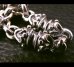 画像5: All Quarter Rollers Necklace