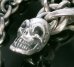 画像8: Quarter Skull & 6Chain Necklace