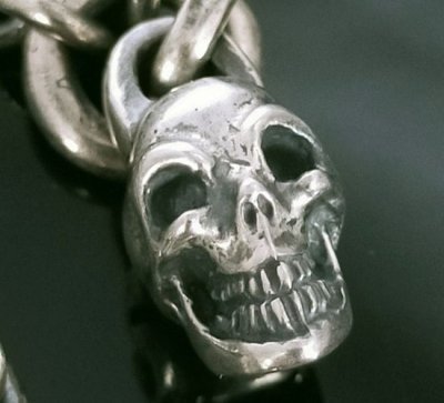 画像7: Quarter Skull & 6Chain Necklace