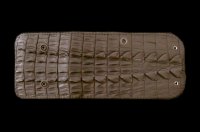 Crocodile Tail W-Spine(L) Half Wallet