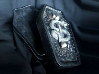 Coffin Leather Jewelry Box With Snake Bone