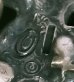 画像10: Skull On Snake Buckle With Heart Pendant