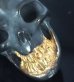 画像2: Single Skull With Pure Gold Wrap Teeth Pendant (2)