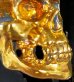 画像13: Pure Gold Wrap Large Skull Ring with Jaw 2nd generation