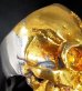 画像12: Pure Gold Wrap Large Skull Ring with Jaw 2nd generation