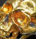 画像10: Pure Gold Wrap Large Skull Ring with Jaw 2nd generation