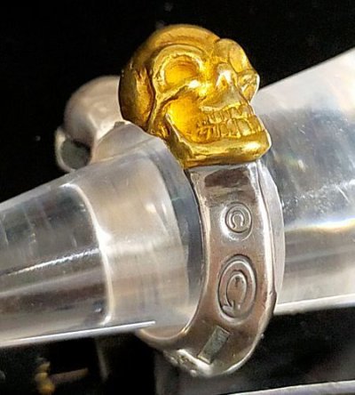 画像10: Pure Gold Wrap Quarter Skull With Half Triangle Wire Ring