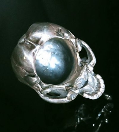画像14: Large Skull Full Head Ring Without Jaw