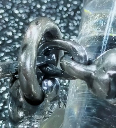 画像13: Lion With Skull Triangle Wire O-ring & T-bar Ring