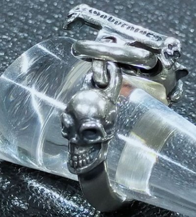 画像4: Panther With Skull Triangle Wire O-ring & T-bar Ring