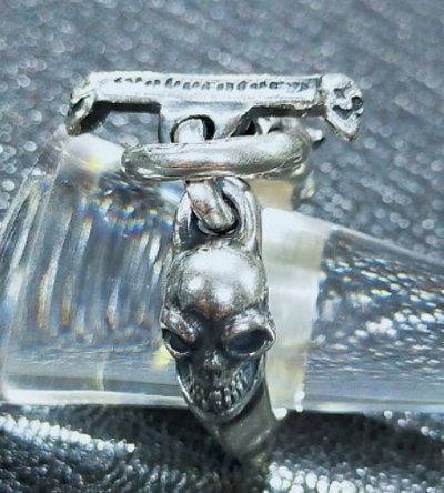 画像3: Panther With Skull Triangle Wire O-ring & T-bar Ring