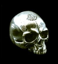Medium Large Skull Full Head Ring Without Jaw
