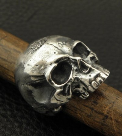 画像10: Medium Large Skull Full Head Ring Without Jaw