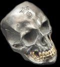 Large Skull With 18k Gold Teeth Ring