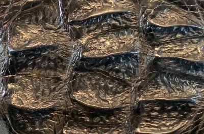 画像10: Crocodile Head & Horn Back Half Wallet