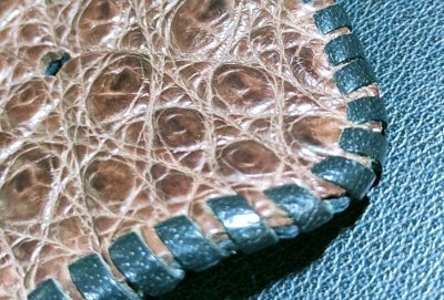 画像8: Crocodile Head & Horn Back Long Wallet(Brown)※新入荷！現品限り即納