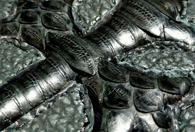 画像4: Python Cross Inlay Shark Long Wallet ※新入荷！現品限り即納