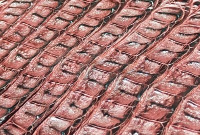 画像5: Crocodile Head & Horn Back Long Wallet(Burgandy)※新入荷！現品限り即納