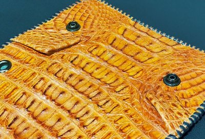 画像8: Crocodile Tail Long Wallet  (Brown) ※新入荷！現品限り即納