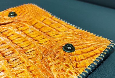 画像7: Crocodile Tail Long Wallet  (Brown) ※新入荷！現品限り即納