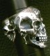 画像18: Xconz collaboration 4 Face Skull Ring