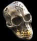 画像1: Xconz Collaboration 18k Gold Teeth Large Skull Ring 3rd generation (1)