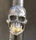 画像10: Xconz Collaboration 18k Gold Teeth Large Skull Ring 3rd generation
