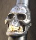 画像9: Xconz Collaboration 18k Gold Teeth Large Skull Ring 3rd generation