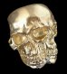 画像1: Xconz Collaboration Gold Double Face Medium Lage Skull Ring (1)