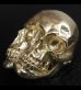 画像6: Xconz Collaboration Gold Double Face Medium Lage Skull Ring