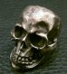 画像6: Large Skull With Jaw War Ring