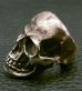 画像5: Large Skull With Jaw War Ring