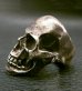 画像2: Large Skull With Jaw War Ring (2)