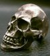 画像19: Large Skull With Jaw War Ring