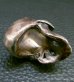 画像11: Large Skull With Jaw War Ring