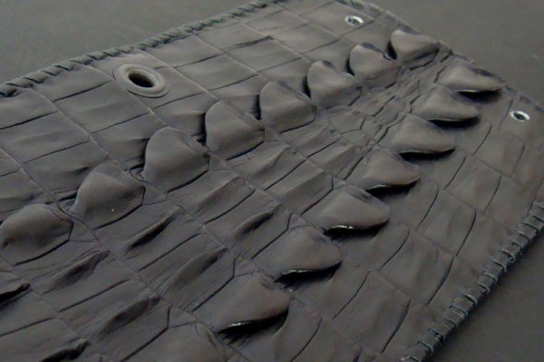画像5: Crocodile Tail W-Spine(L) Half Wallet (5)