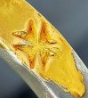 画像8: Pure Gold Wrap On Raised G&Crown Flat Bar Bangle 10mm Bold (8)